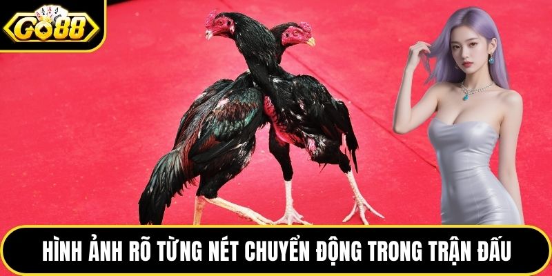 Hình ảnh rõ từng nét chuyển động trong trận đấu