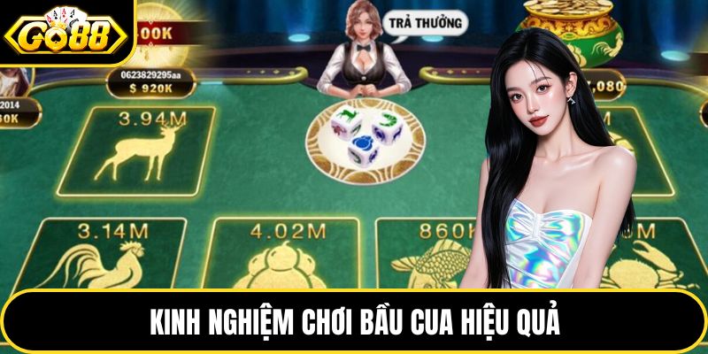 Kinh nghiệm chơi bầu cua hiệu quả